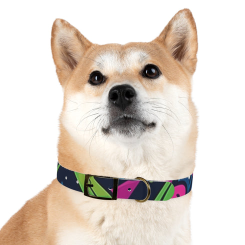 Neon graffiti dog collar in M size and black onyx variant.