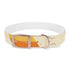 Retro Wave Dog Collar: Colorful & Stylish