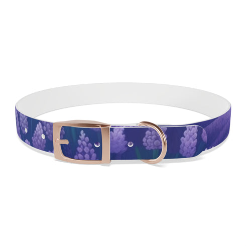 Stylish lavender flower dog collar for fashionable walks with your pet.