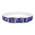 Stylish lavender flower dog collar for fashionable walks with your pet.