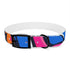 Neon graffiti dog collar, M size, black onyx variant option.
