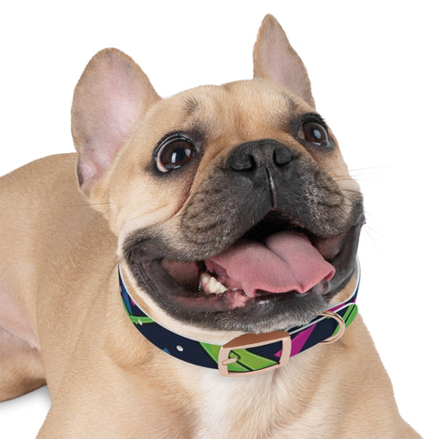 Neon Urban Graffiti Dog Collar in Black Onyx for Trendy Pups.