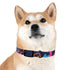 Neon graffiti dog collar with urban graffiti pattern for stylish pups.