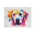 Labrador Love Blanket featuring royal canin labrador design in 30x40 size
