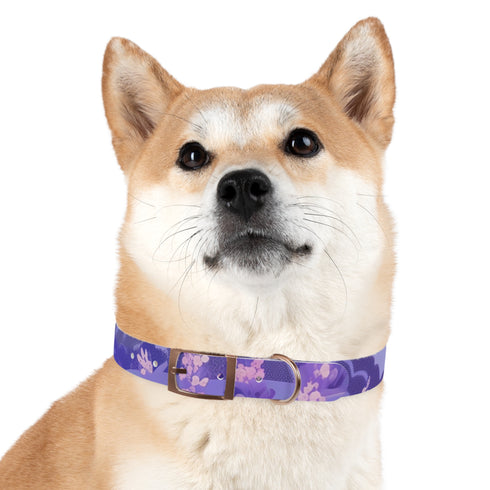 Lavender Fields Dog Collar M Size Black Onyx Pattern Pet Accessory