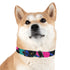 Neon Graffiti Dog Collar for medium dogs in Black Onyx.