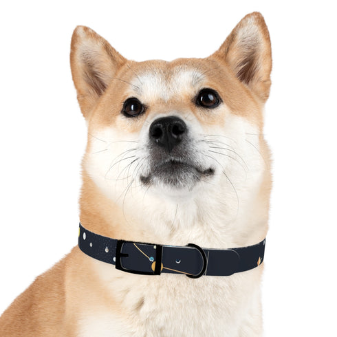 Starry Night Dog Collar: Constellation Chic