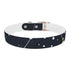Starry Night Dog Collar: Constellation Chic