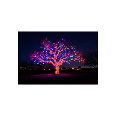 "15 Electric Tree Rooted Sky"