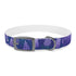 Stylish lavender floral dog collar for medium-sized pets in black onyx.
