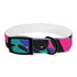 Neon graffiti dog collar: urban chic M black onyx dog collar.