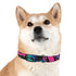 Neon graffiti dog collar in medium size black onyx urban chic.