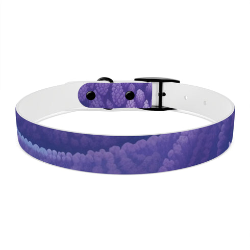 Lavender Fields Dog Collar: Stylish M Black Onyx Walk Accessory
