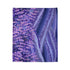 Provence Botanical Lavender Seamless Pattern Plush Fleece Throw Blanket – Prints With Passion (View 7)