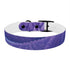 Stylish lavender fields dog collar for medium dogs in black onyx.