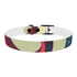 Retro Waves Dog Collar: Vibrant, Stylish and Fun!
