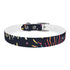 Vibrant Festive Fireworks Dog Collar for Medium Dogs in Black Onyx