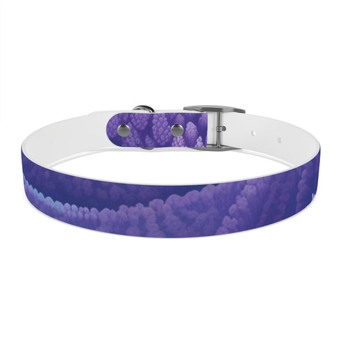 Stylish Lavender Fields Dog Collar for M Dogs in Black Onyx