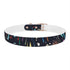 Vibrant Fireworks Dog Collar in Black Onyx for Medium Dogs