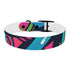 Neon graffiti dog collar in black onyx for medium dogs.