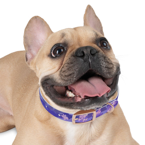 Luxurious Lavender Fields Dog Collar for stylish pups.