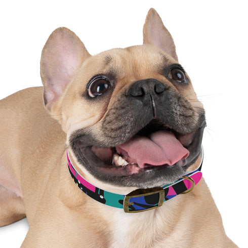 Neon graffiti dog collar in medium size, black onyx color.
