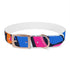 Neon graffiti urban dog collar in black onyx M size.
