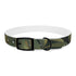 Tiger Print Jungle Safari Collar