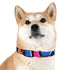 Neon graffiti dog collar, M size, black onyx, urban style.