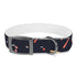 Colorful Festive Fireworks Dog Collar for medium-sized dogs in Black Onyx.