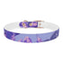 Lavender Fields Dog Collar with calming lavender blooms for stylish pets.