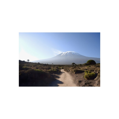 No alt text available