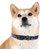 Urban neon graffiti dog collar in black onyx, size M.