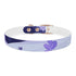 Stylish Lavender Fields Dog Collar in Black Onyx for MEDIUM dogs.
