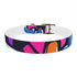 Neon graffiti urban dog collar in medium black onyx for pets.
