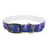 Stylish black onyx lavender fields dog collar with seamless design.