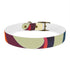 Retro Waves Dog Collar: Vibrant, Stylish and Fun!