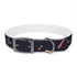 Festive Fireworks Dog Collar in Black Onyx for Medium Dogs