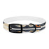 TileInfused Artisan Dog Collar
