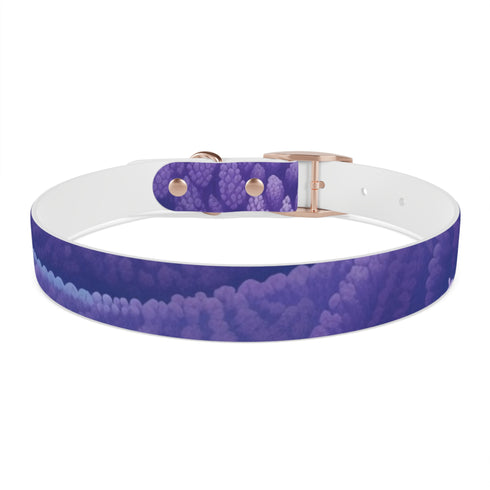 Stylish black onyx dog collar with lavender fields pattern for pets.