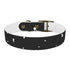 Galactic Dreams Dog Collar in Black Onyx for Medium Dogs