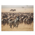 Serengeti Safari Jigsaw Puzzle | Puzzle | Back-to-School, Fall Picks, Games, Holiday Picks, Home & Living, Puzzles, TikTok, Valentines Day, Valentines Day Picks | Prints with Passion