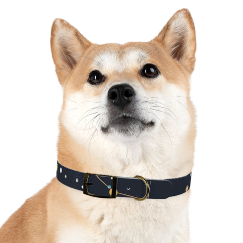 Starry Night Dog Collar: Constellation Chic