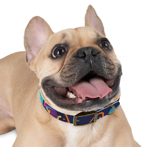 Neon graffiti dog collar: vibrant urban style for medium-sized dogs.