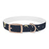 Starry Night Dog Collar