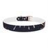 Festive Fireworks Dog Collar in Black Onyx Material celebrating pets.