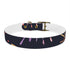 Festive Fireworks Dog Collar in Black Onyx for Medium Dogs