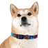 Neon graffiti dog collar for urban style walks with medium black Onyx variant.