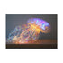 Jellyfish with Fiber Optic Tentacles Stretched Canvas Wall Art