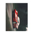 Ferrari Speed Demon Puzzle - 10" x 8" - Racing theme jigsaw puzzle.